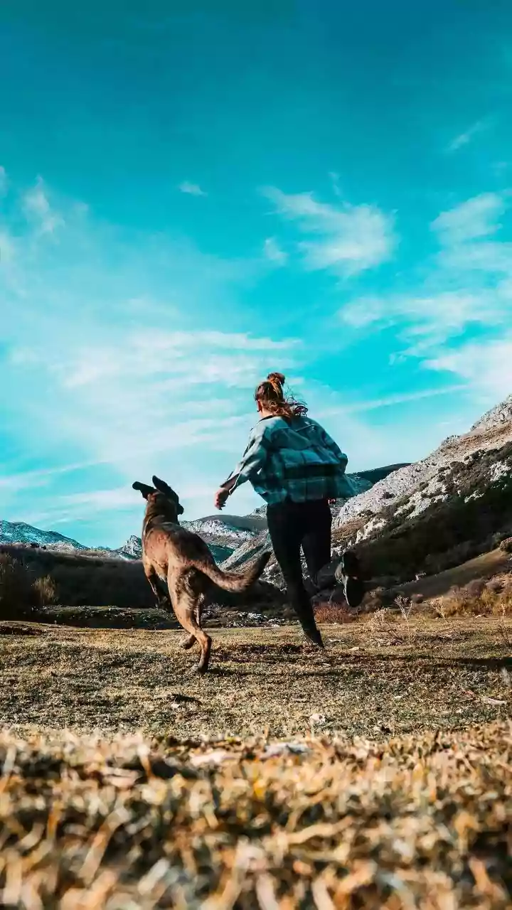 Dogs Are Turning Nature Trips Into Family Plans