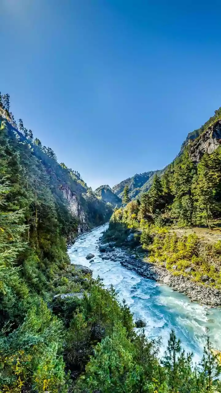 3 killed, 7 injured as bus plunges into gorge in Uttarakhand's Kalsi