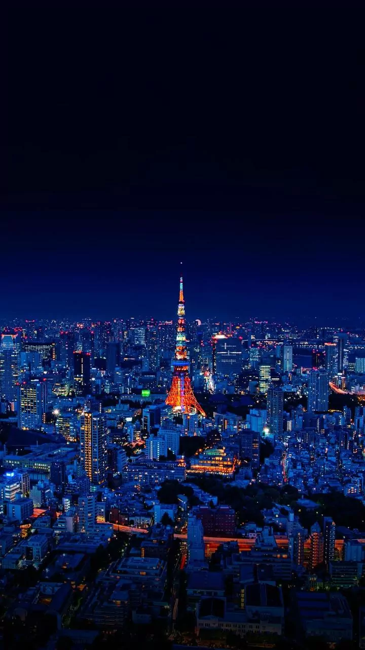 Tokyo's Dominance Creates a Single-Point Risk Japan Wants to Reduce