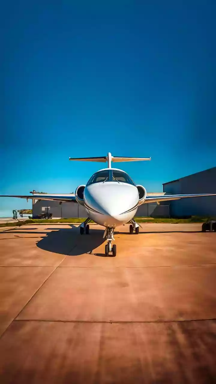 IndiGo disruptions: Naidu says operations to normalise in 3 days; orders inquiry