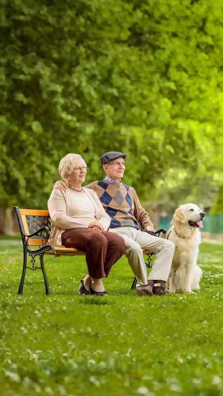 Pet Parents Want Parks, Cafes And Walkable Streets