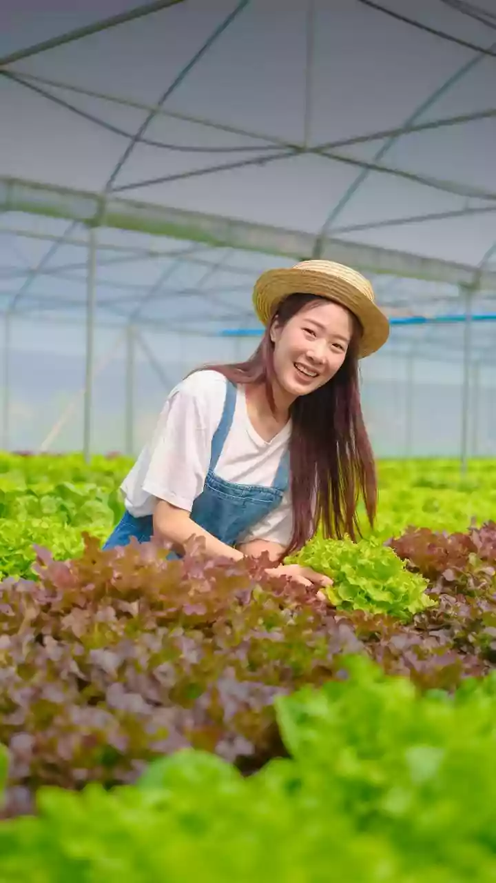 Soundwave Technology Protects Organic Crops From Insect Pests In Cities