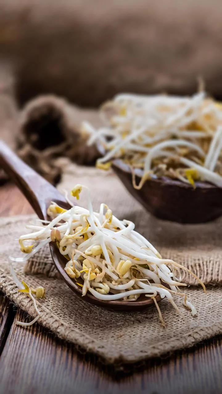 How Probiotic Foods And Fermentable Fiber Enhance Mood And Daily Focus