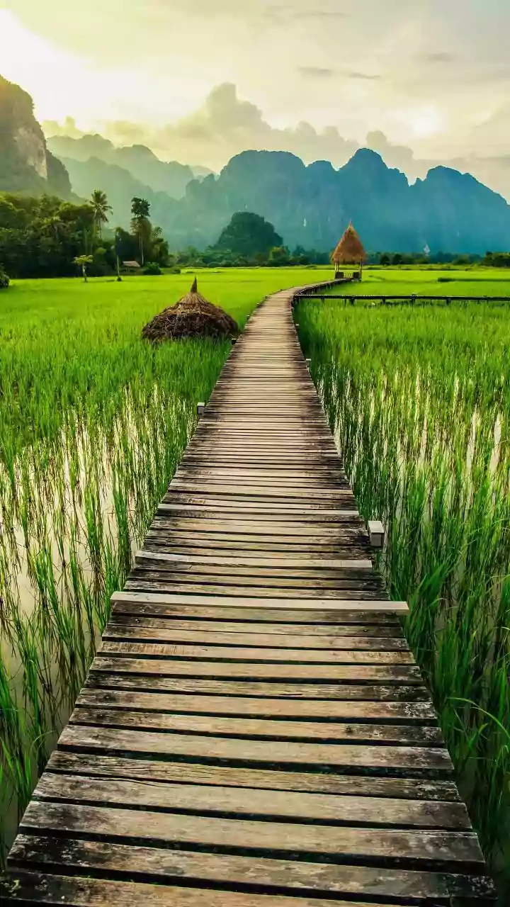 Digital Nomad Visas In Southeast Asia: Income Limits And Tax Benefits Explained