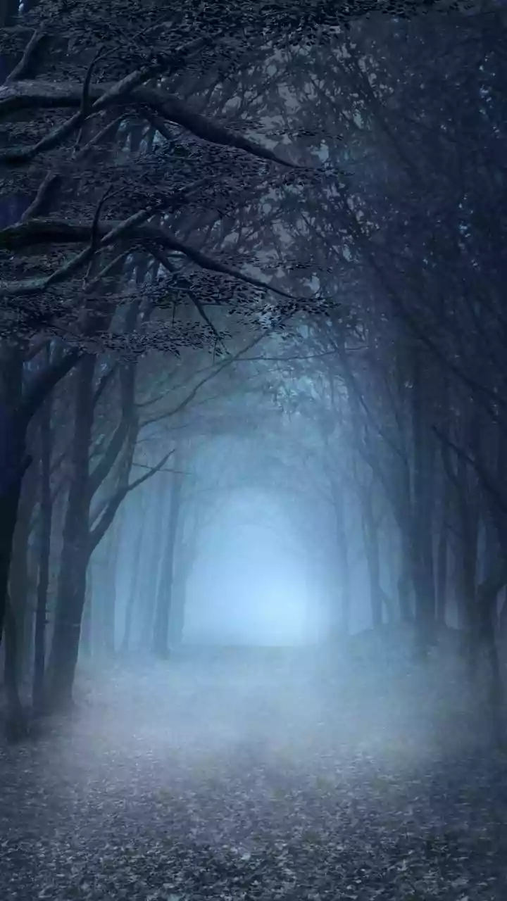 Madhya Pradesh December 28, 2025 Weather Update: Cold Wave Tightens Grip As Temperatures Drop Below 10°C, Dense Fog Disrupts Transport