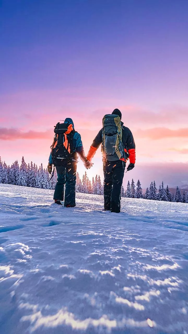 5 Survival Tips From Bear Grylls: Staying Alive!