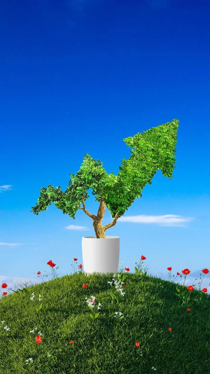 Bai Kakaji Polymers IPO: GMP & Key Details Unveiled