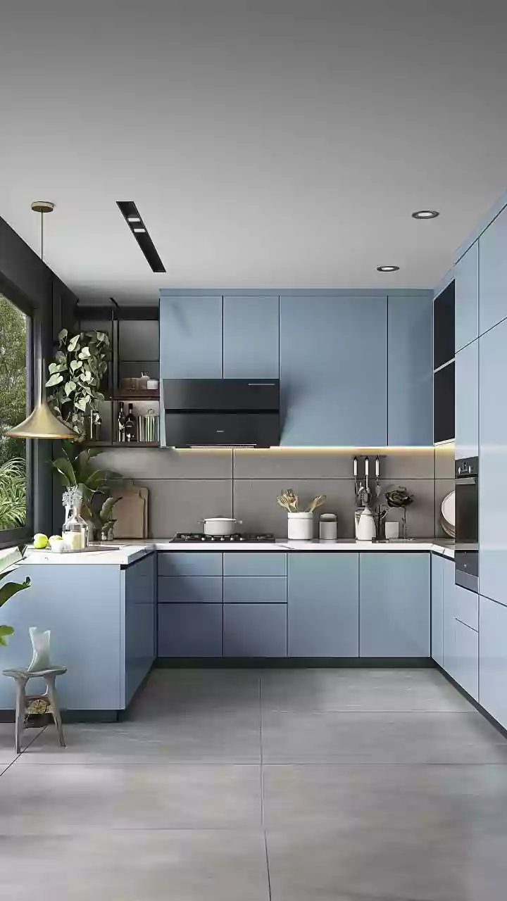 The Context Around Pest Control in Commercial Kitchens in Fresh Restaurant-Kitchen Inspections in India