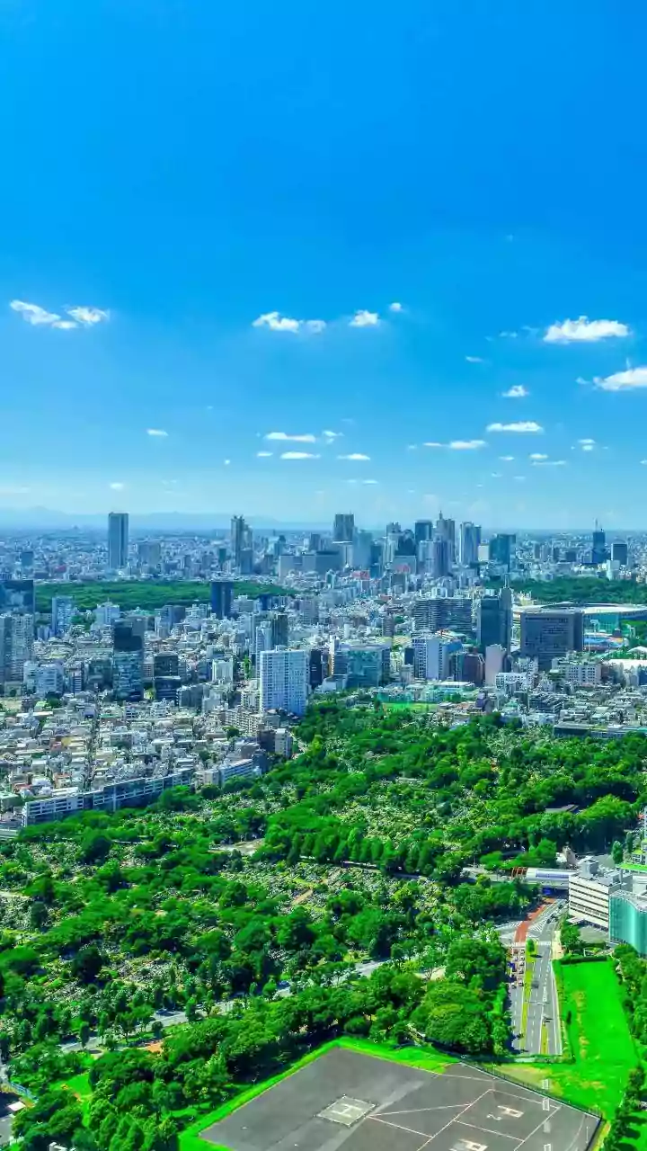 Japan's Secondary Capital Could Be More Network Than Single City