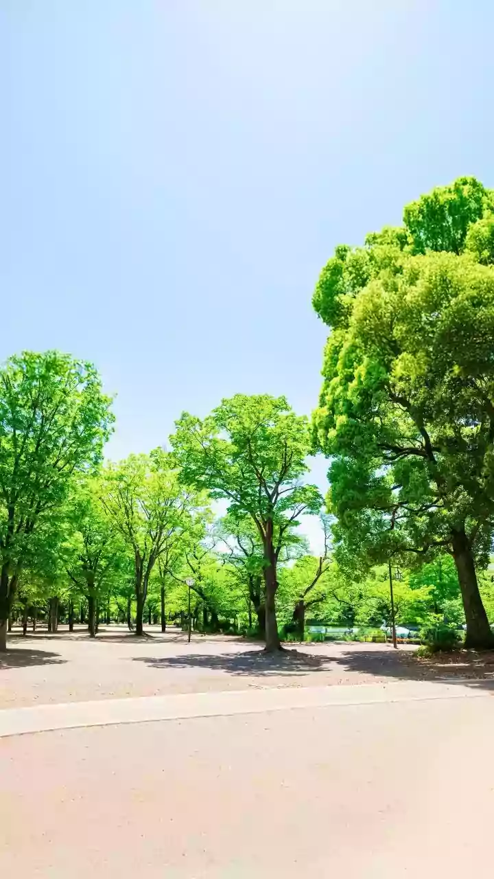 Clean Air, Clear Minds: A Positive Outlook