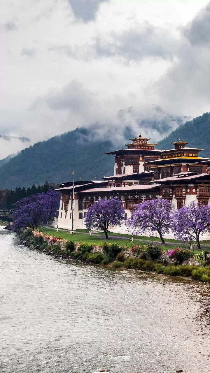 Bhutan Beckons: A Visa-Free Indian Getaway