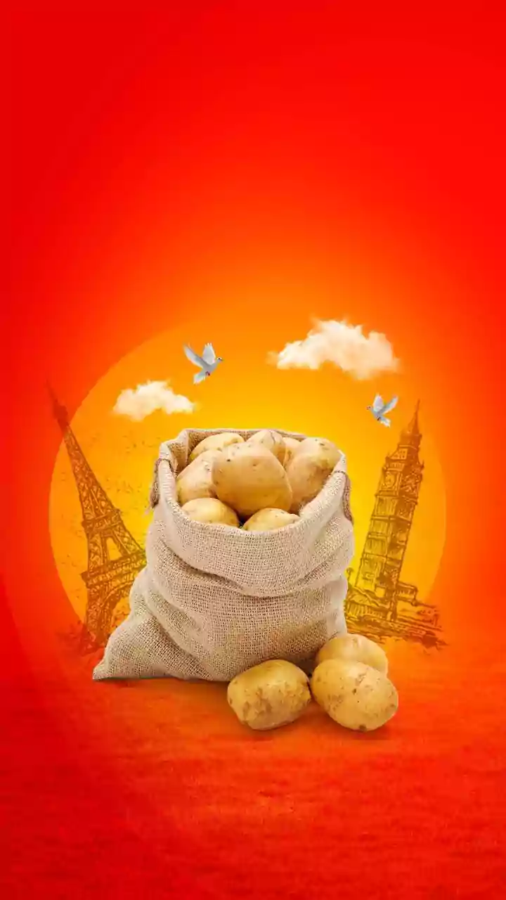 National Potato Day 2026 Follows Aloo From Bengali Posto to Pahari Gutke