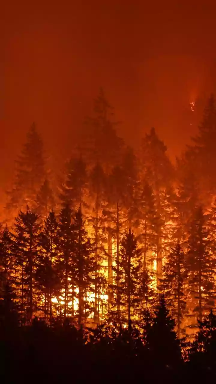 FireSat Satellites Can Distinguish Wildfires From Campfires Using AI And Heat Data