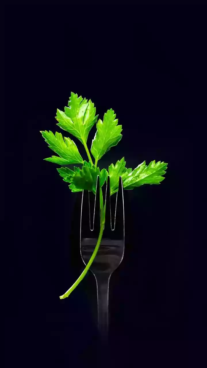 Keeping The Herb Fresh For More Recipes: Parsley Recipe Ideas In Focus