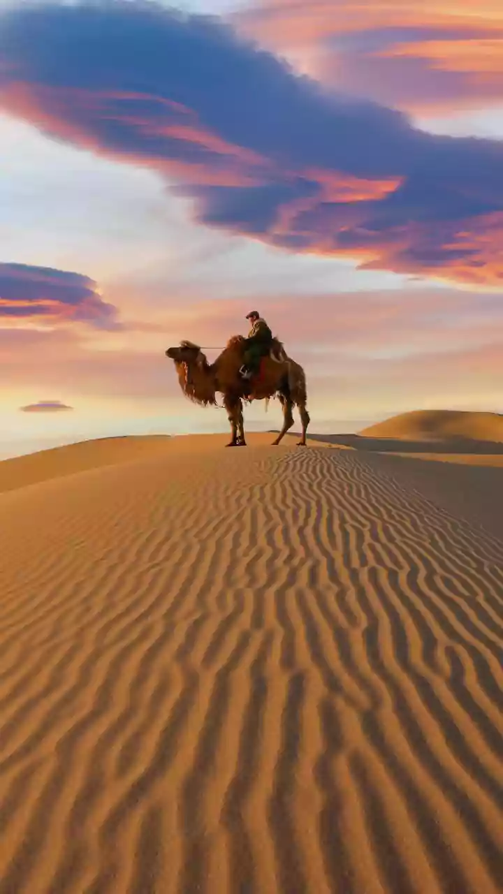 Uzbekistan's New Visa Rule Could Make Central Asia More Appealing To Indians
