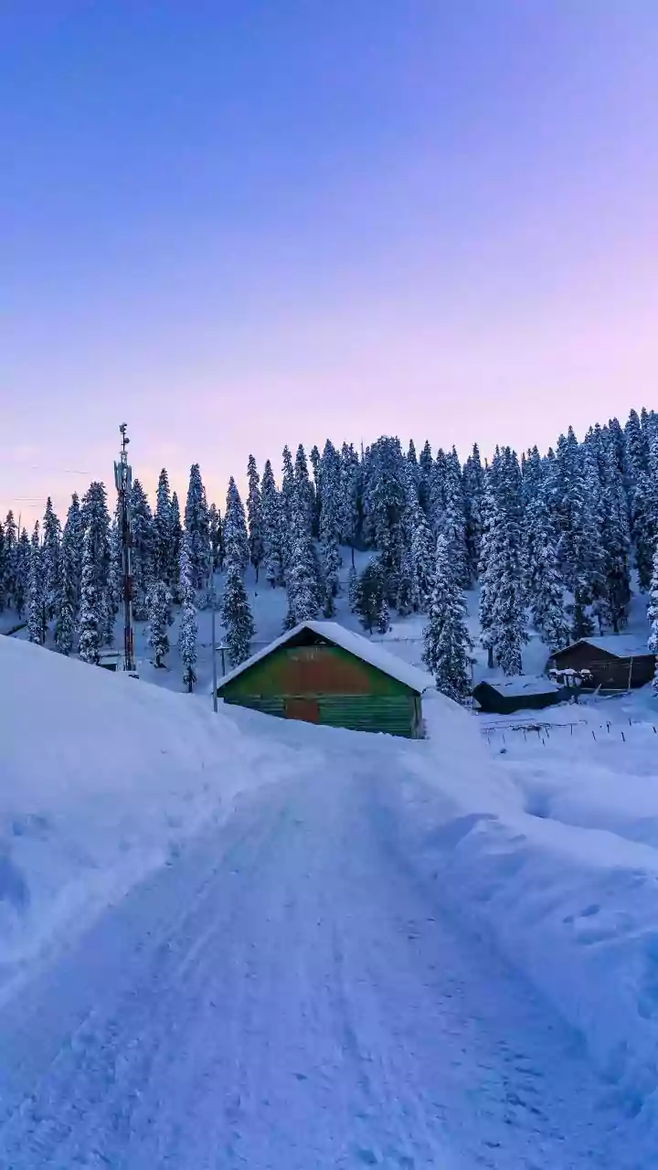 Unveiling India's Winter Snowy Escapes: A Traveler's Guide