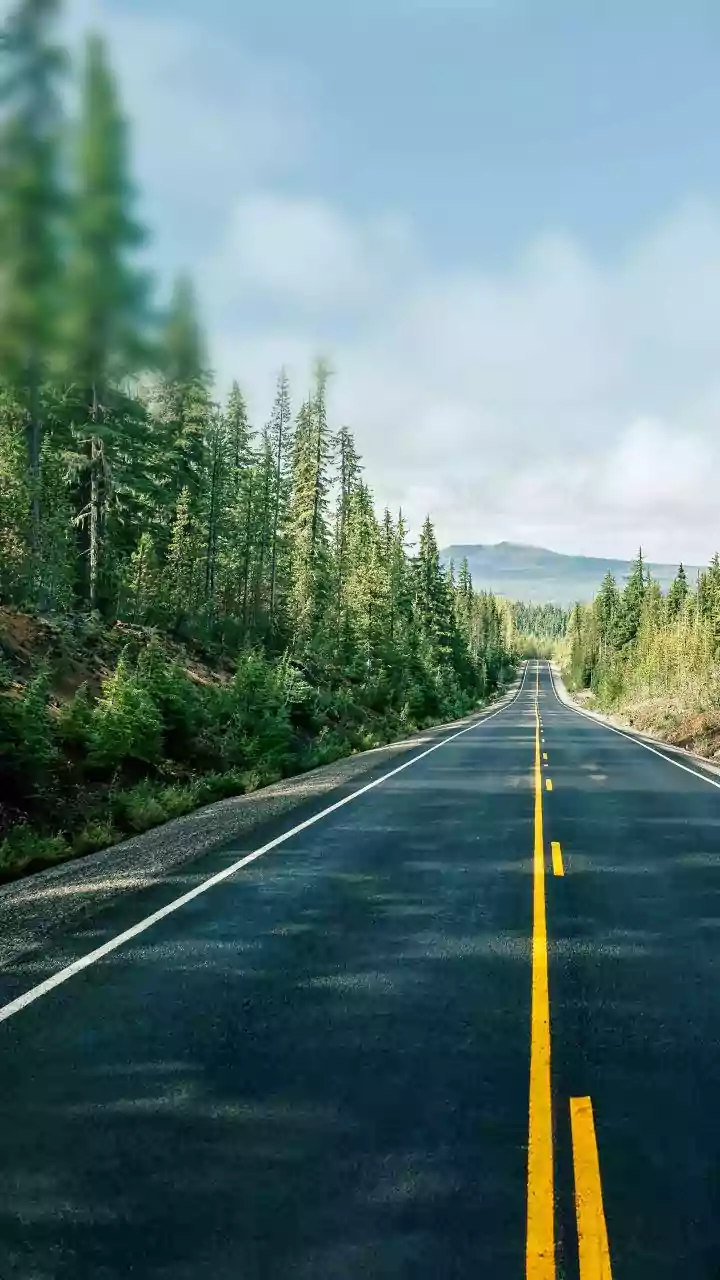 Cities deploy bio engineered asphalt coatings to automatically patch rainy season potholed roads