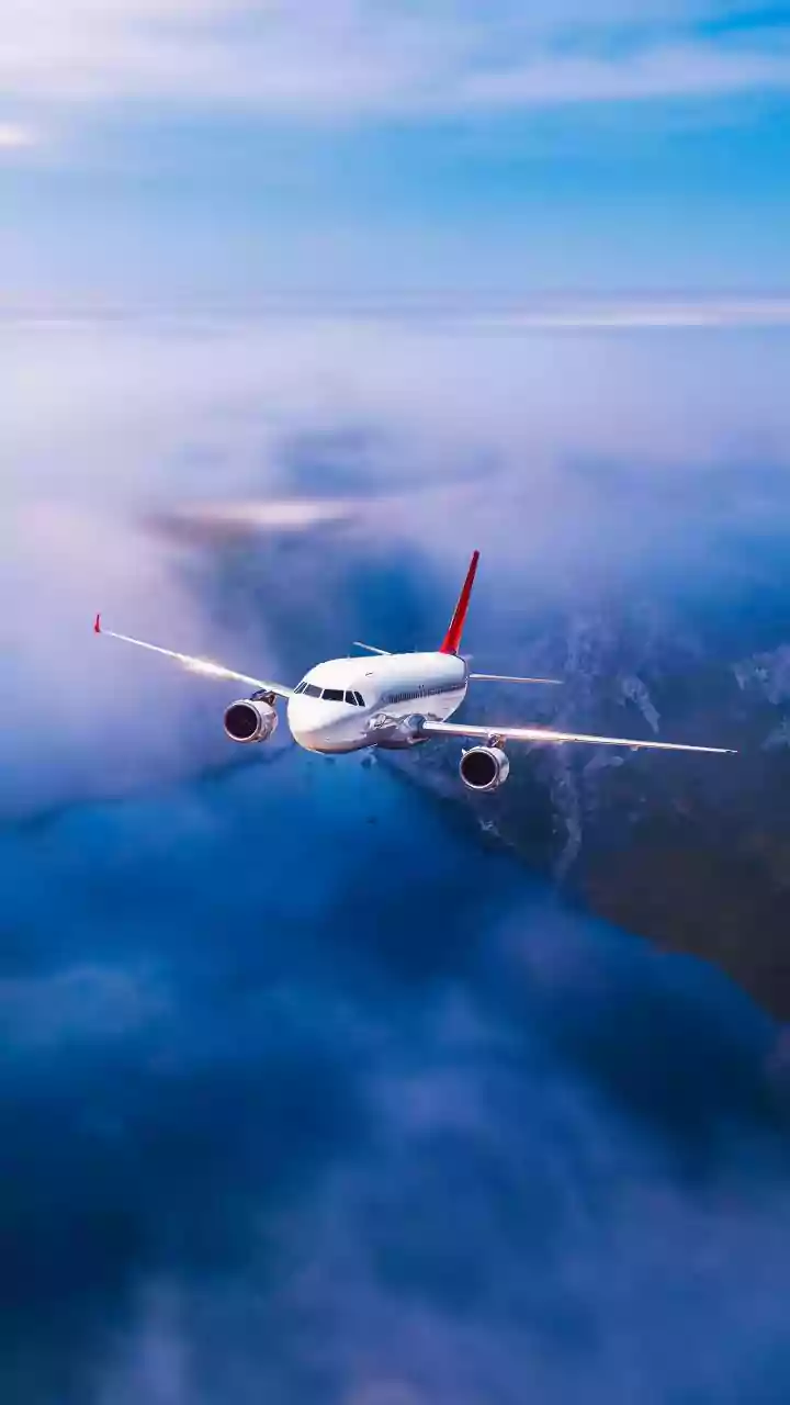 Flywings Simulator IPO: Decoding the Buzz