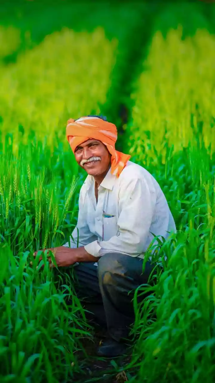 Haryana government released Rs 4,771.89 crore as compensation to farmers: Vipul Goel