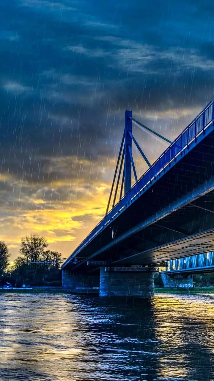 Heavy rains sweep van off flooded Rajgarh bridge, 7 dead
