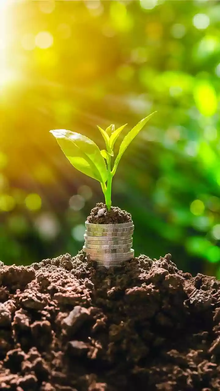 Smart Tools & Investment Ideas: Invest Wisely!