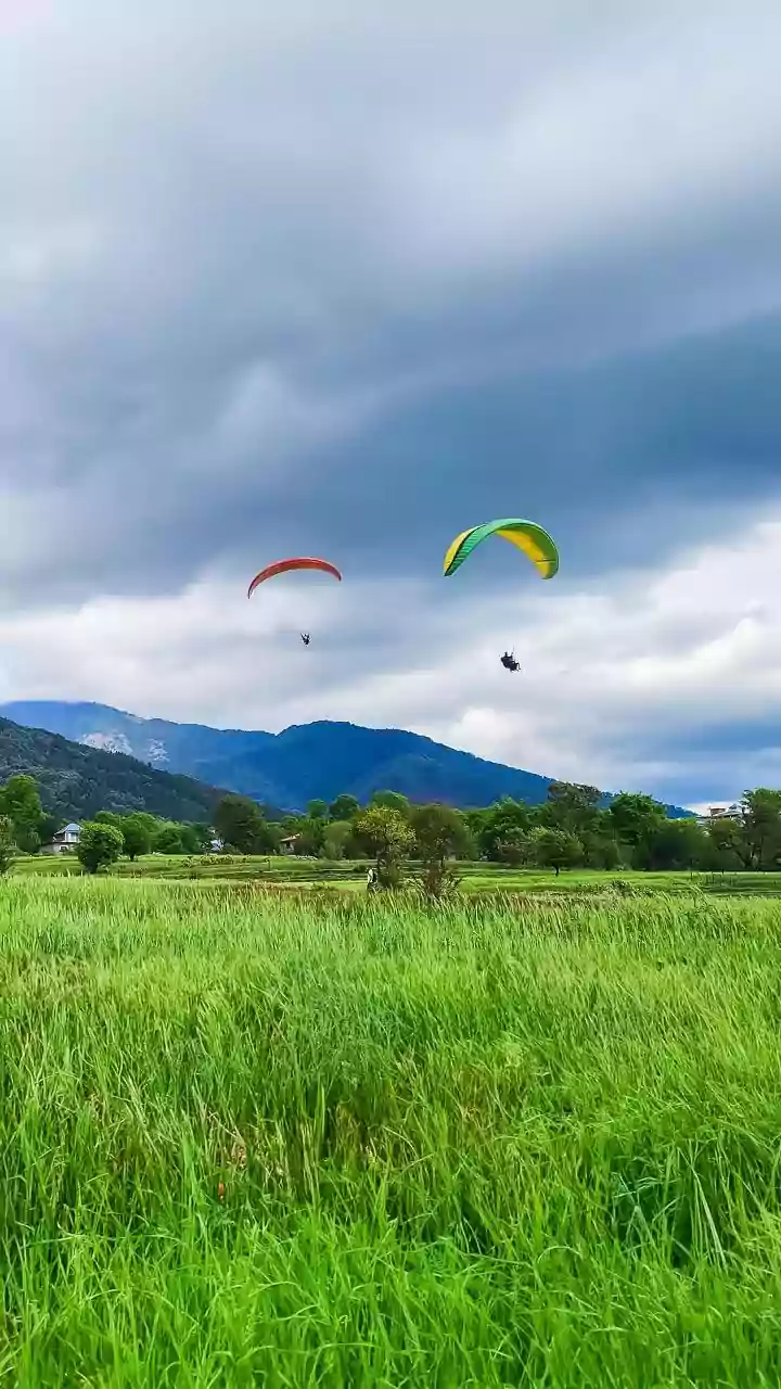 Paraglider Survives Dramatic Crash Landing In Himachal's Barot Valley; Shocking Moment Caught On Camera | WATCH