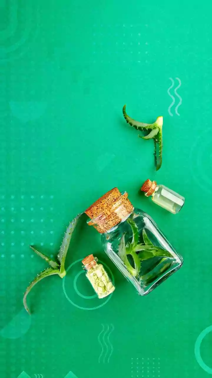 Beat the Heat: Ultimate Desi Hacks to Keep Lizards Out of Your Indian Homes!