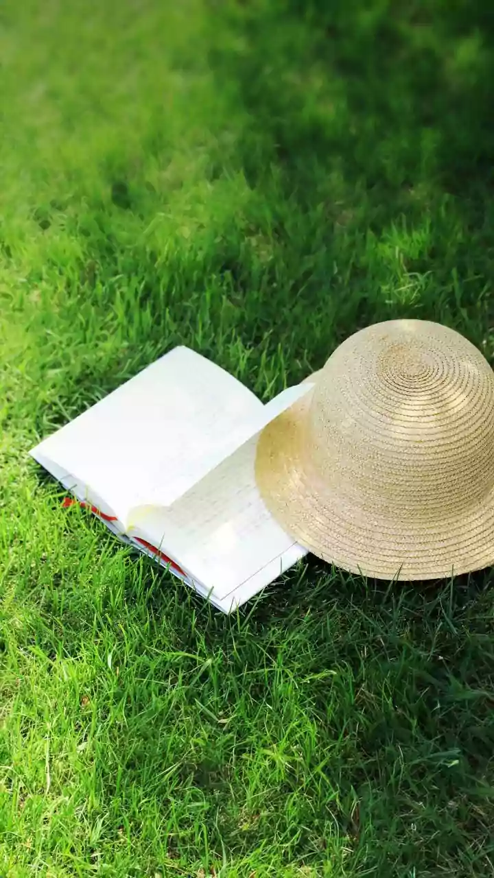 A Reading List Needs Space for Rereading and Pausing