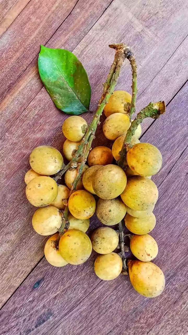 Surprising health benefits of Malay apple