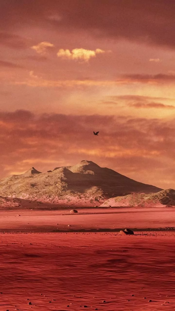 Elon Musk's Starship Aims for Mars by 2026