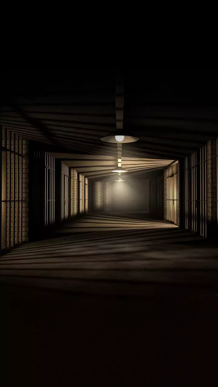 Extortion racket in Tihar: Delhi HC directs govt to expedite inquiry, action against officials involved