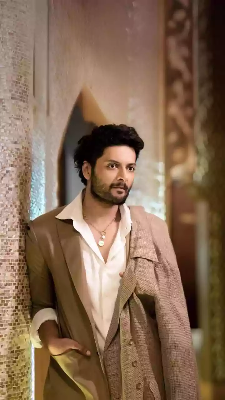'Mirzapur: The Movie' review: Ali Fazal-Divyenndu excel in thrilling drama