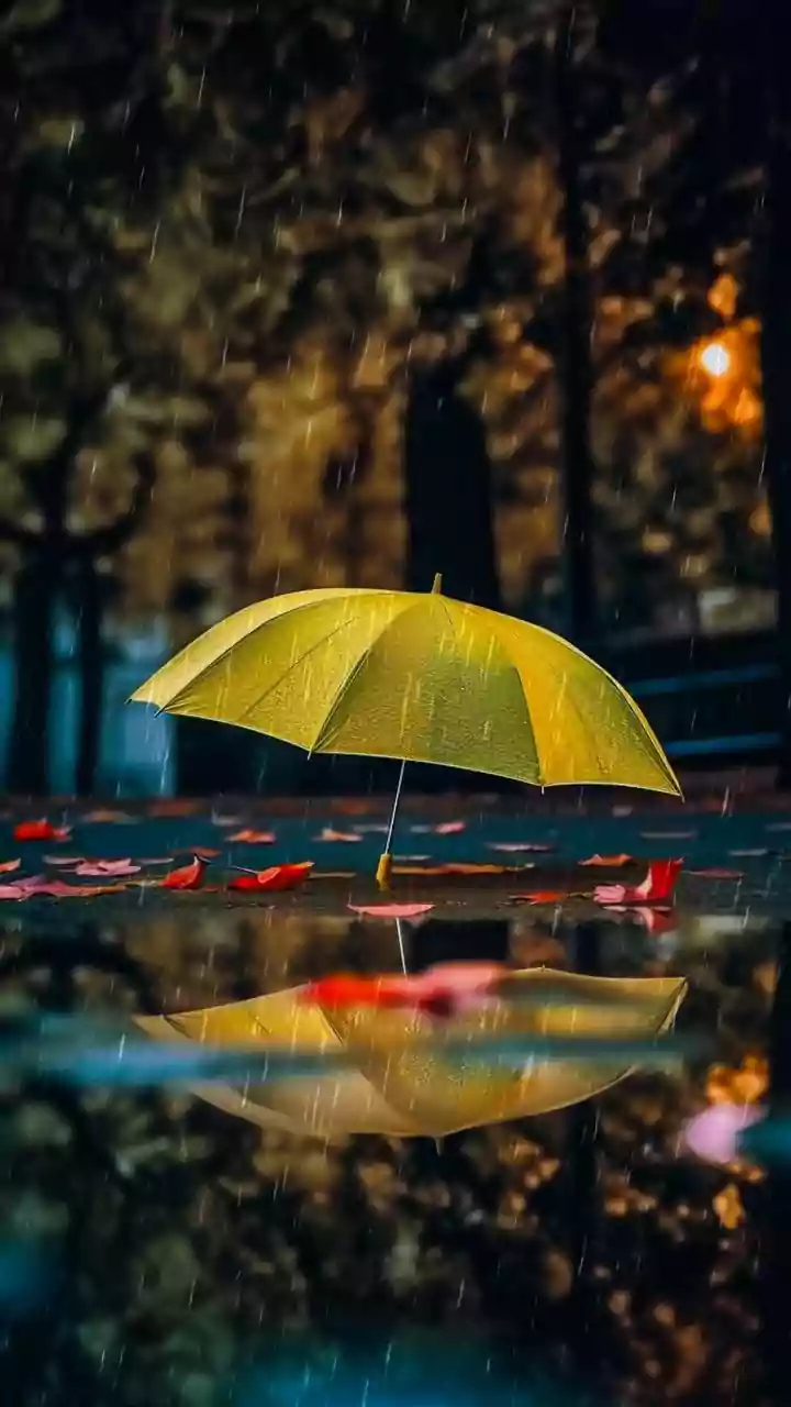 How To Plan A Safer Commute During An IMD Heavy Rain Warning