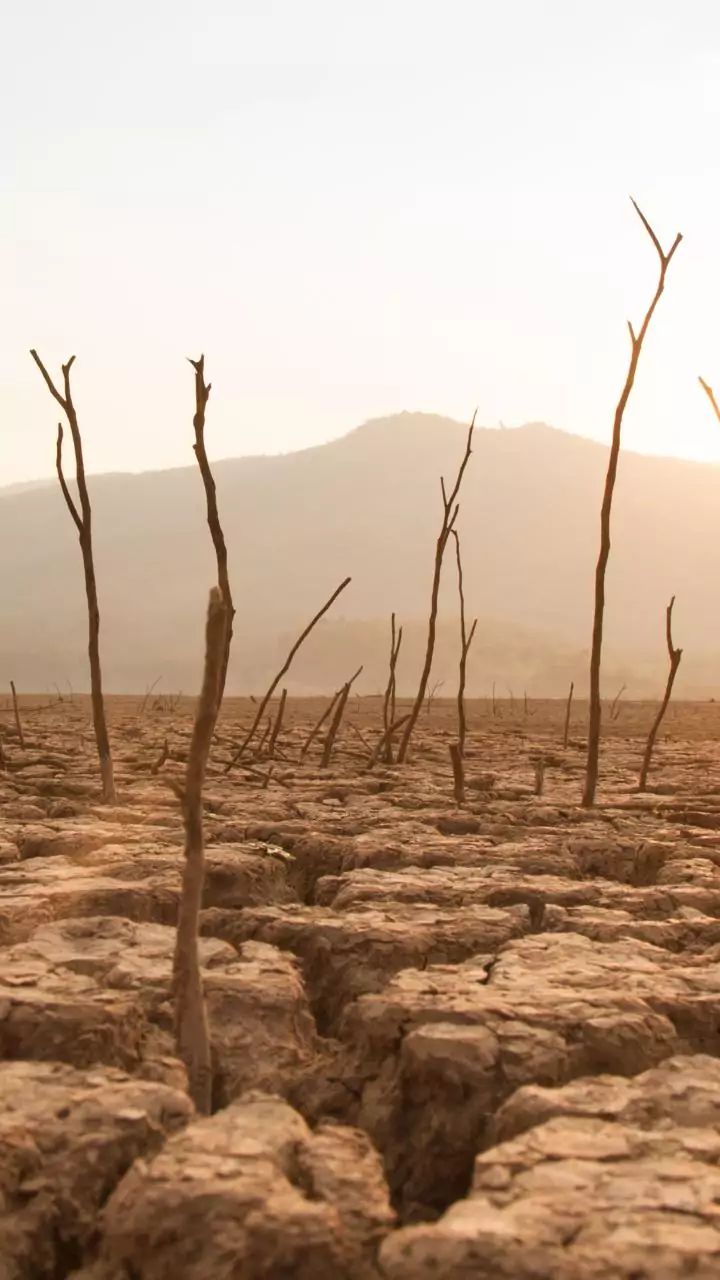 'Hobbits' went extinct due to severe drought, study reveals