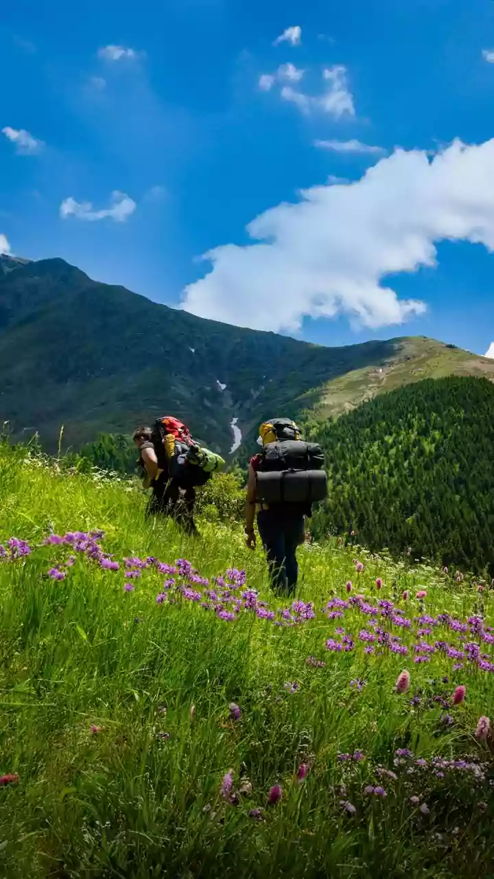 Plan Safe High Altitude Valley Treks In Uttarakhand Over Independence Day Long Weekend