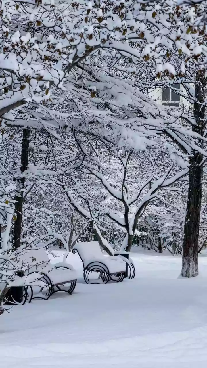 Unveiling Japan's Snowfall Secrets: A Winter Wonderland