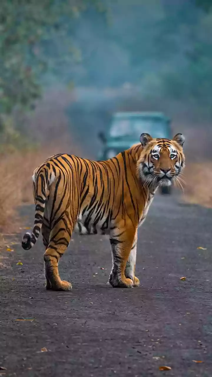 Related Stories banner