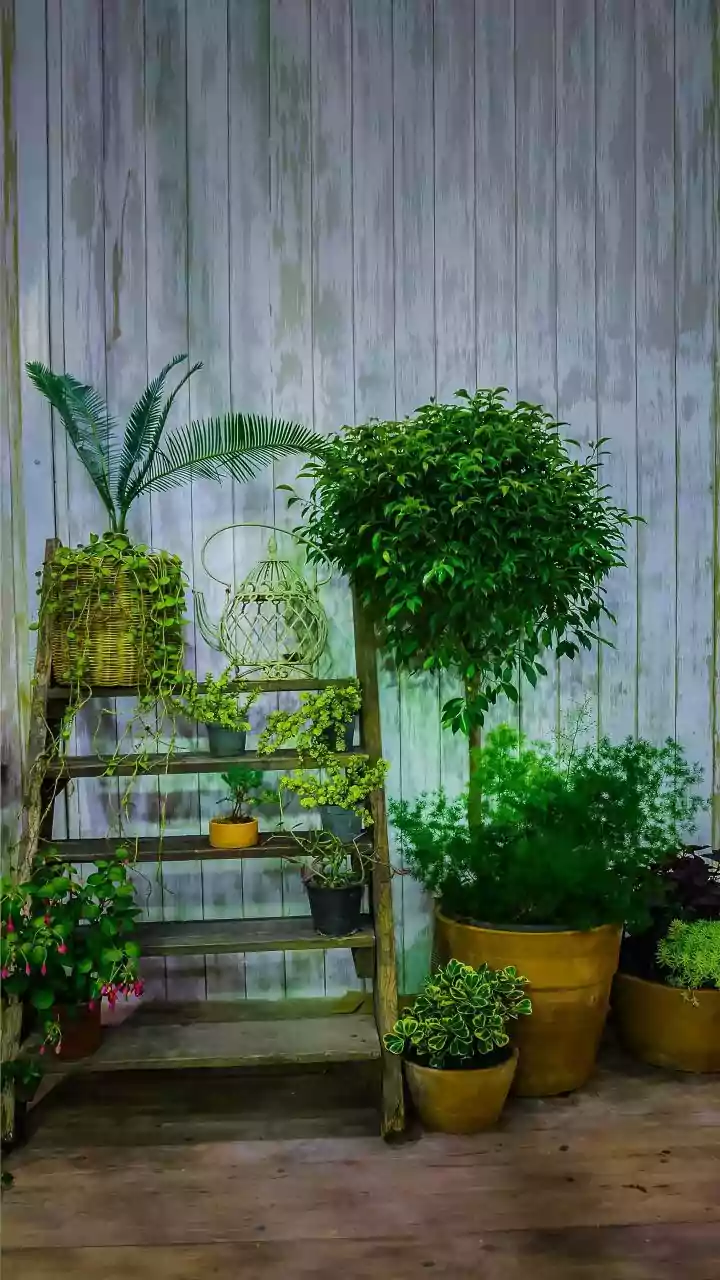 Prevent Monsoon Drainage Problems In Balcony Gardens With Vertical Waterproofing Shields