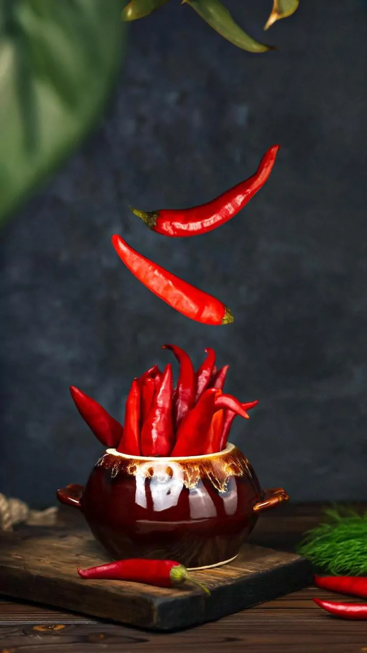 Growing Thai Chillies In Pots In Context: Harvesting Chillies As They Ripen