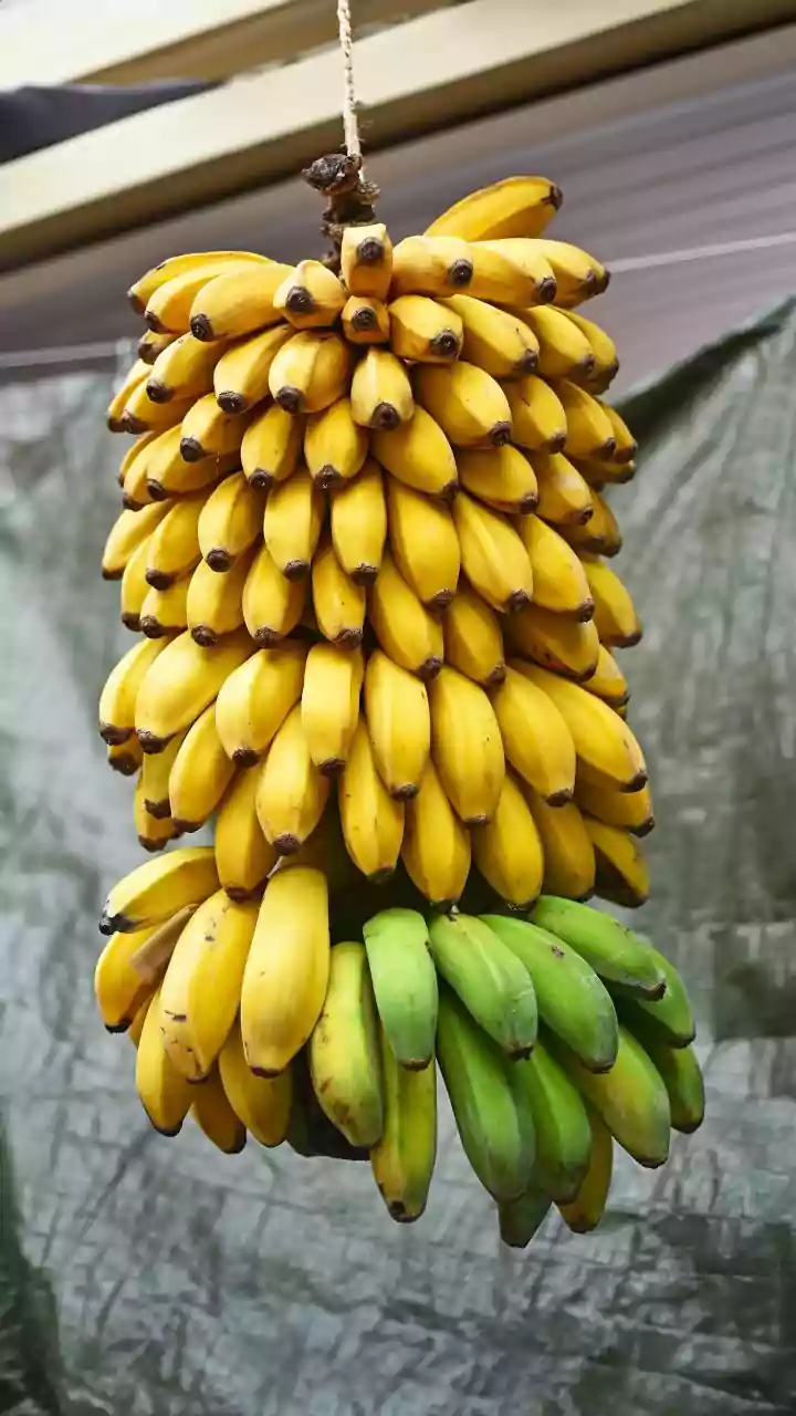 Banana Timing Is A Preference Question For Most Healthy People