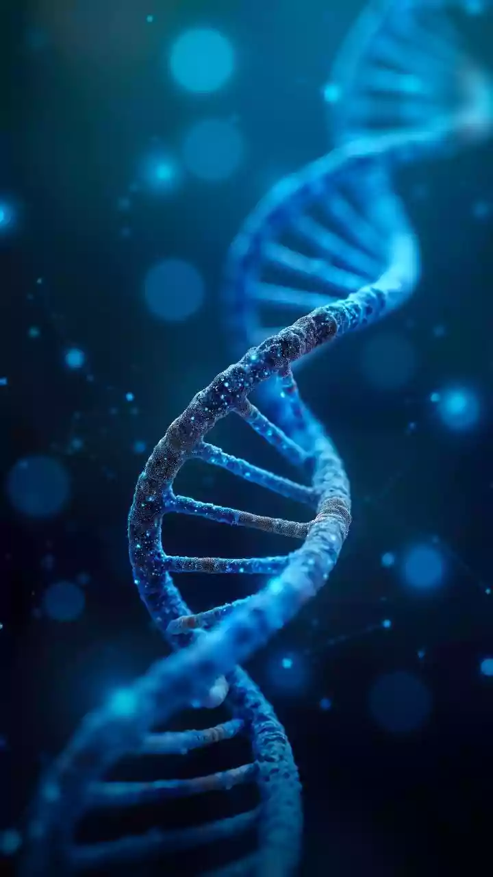 Pela primeira vez, técnica altera genes em embriões com alta precisão
