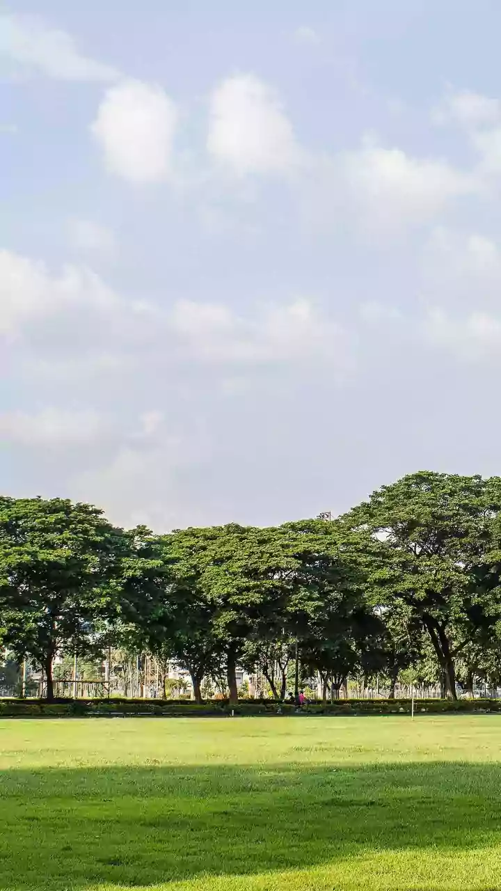 Bengaluru's Unusually Dry July: City Residents Need City Rainfall before Using a National Monsoon Label