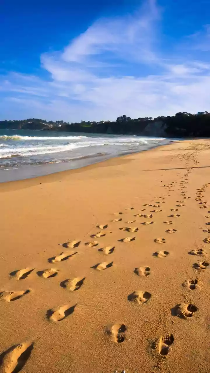 Alleged Bondi gunman charged with 15 murders as funerals of victims begin