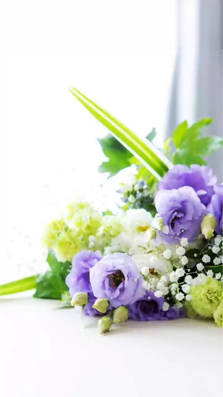 Flower Market To Front Door: Planning A Lower-Waste Pookkalam