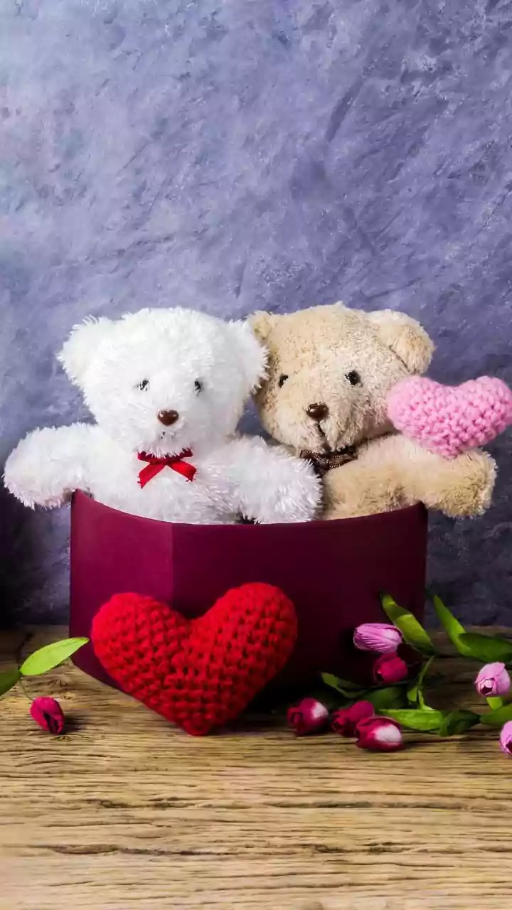 Express Your Affection: Heartwarming Teddy Day Messages & Quotes for Every Relationship