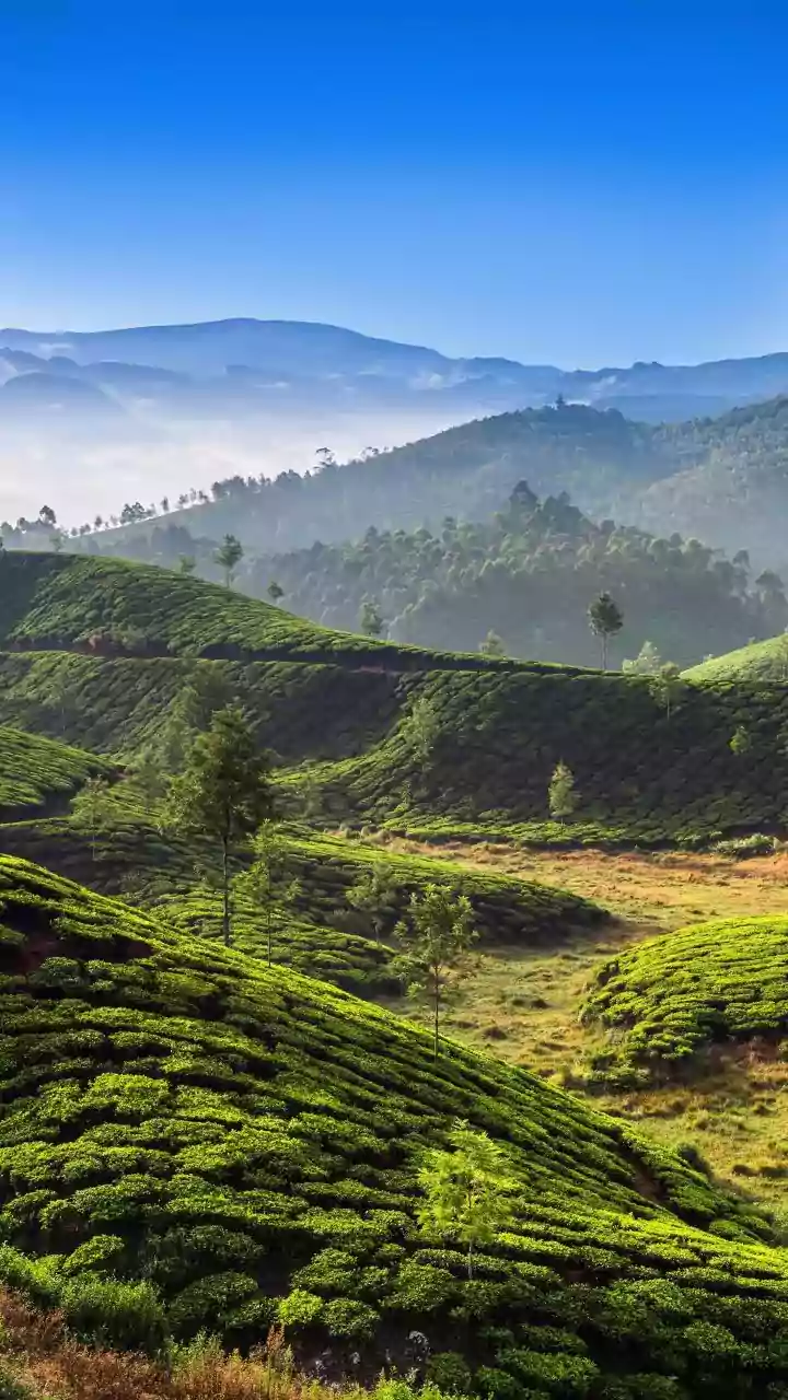 Earlier Transport Bookings Can Protect Tight Rainy-Season Itineraries