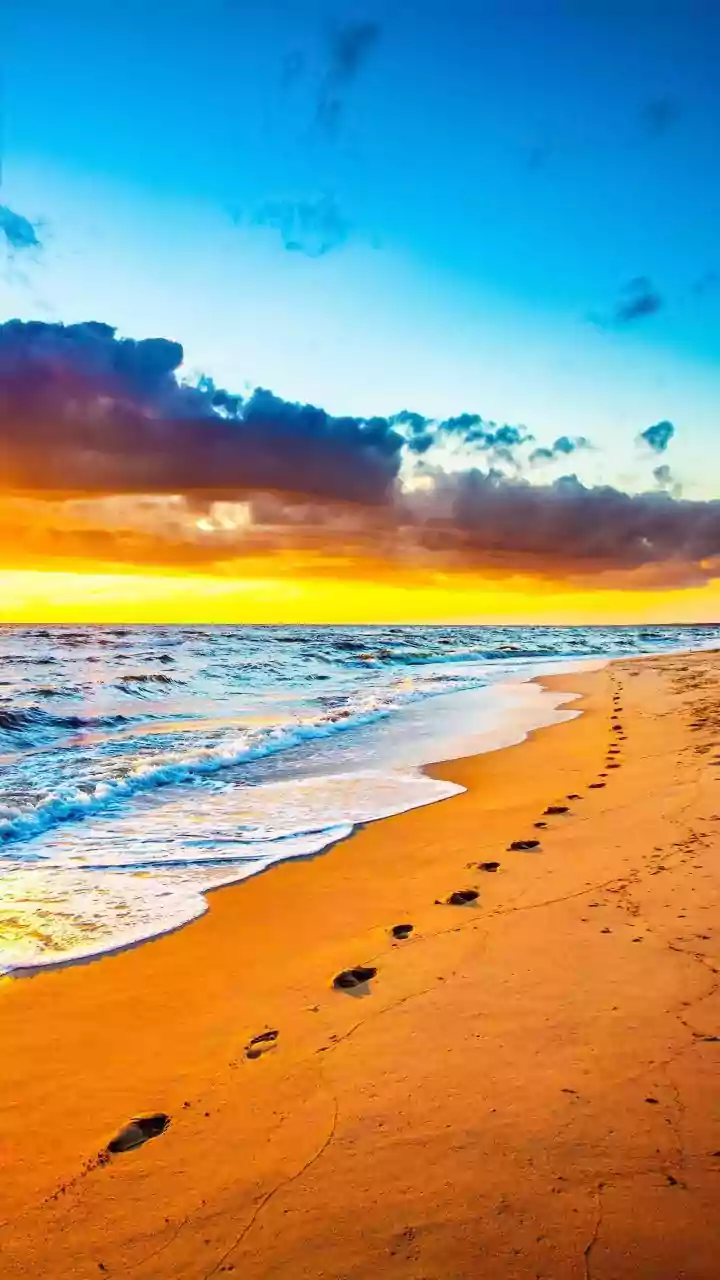 Bondi Beach Tragedy: Were Warning Signs Ignored Before Australia's Deadliest Attack?