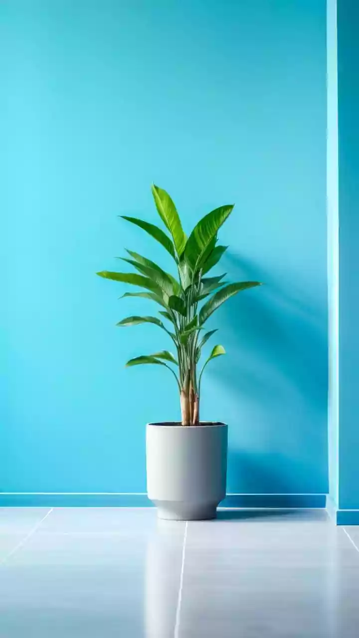 How Indoor Houseplants Create Cleaner Breathing Spaces During Severe Delhi-NCR Winter Smog Seasons