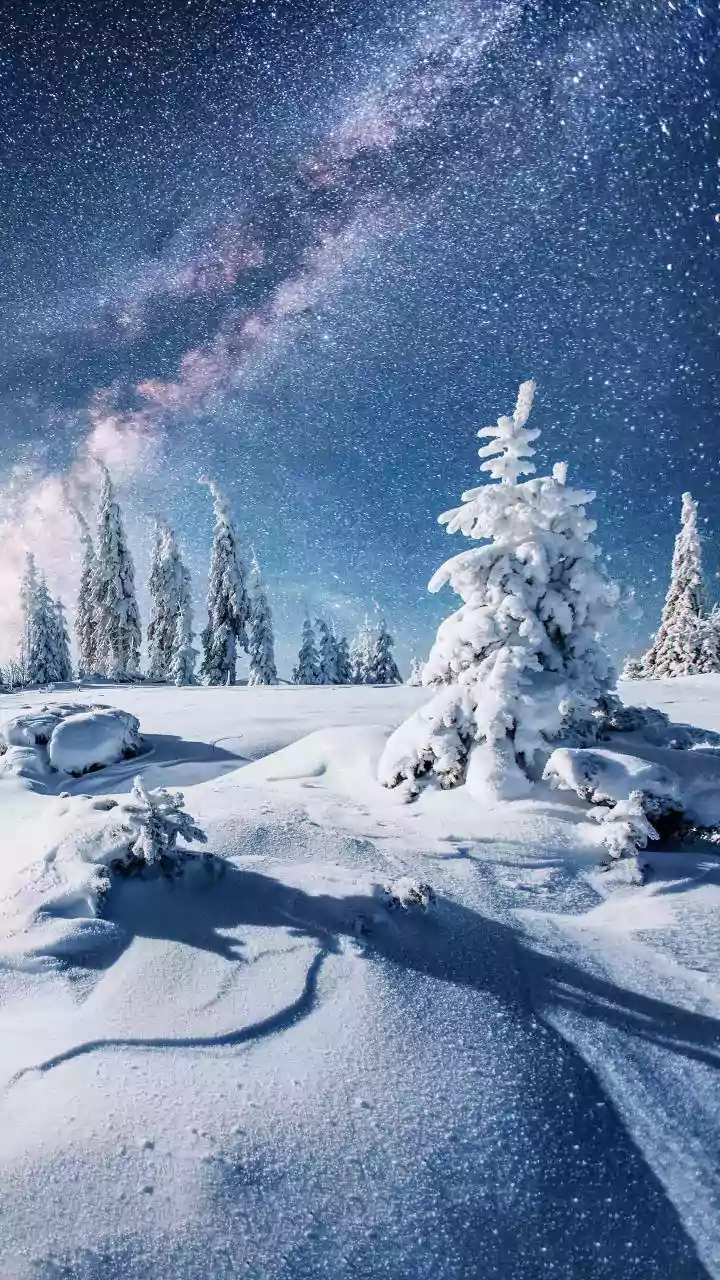 Kamchatka Under Whiteout Apocalypse: Why Is Russia Seeing Extreme Snowfall? Explained