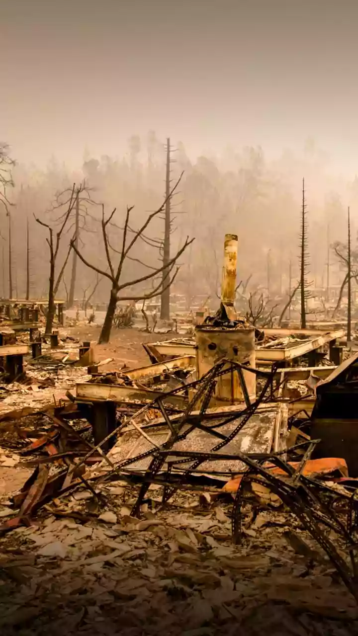 Fire guts plywood factory in Kerala's Kasaragod